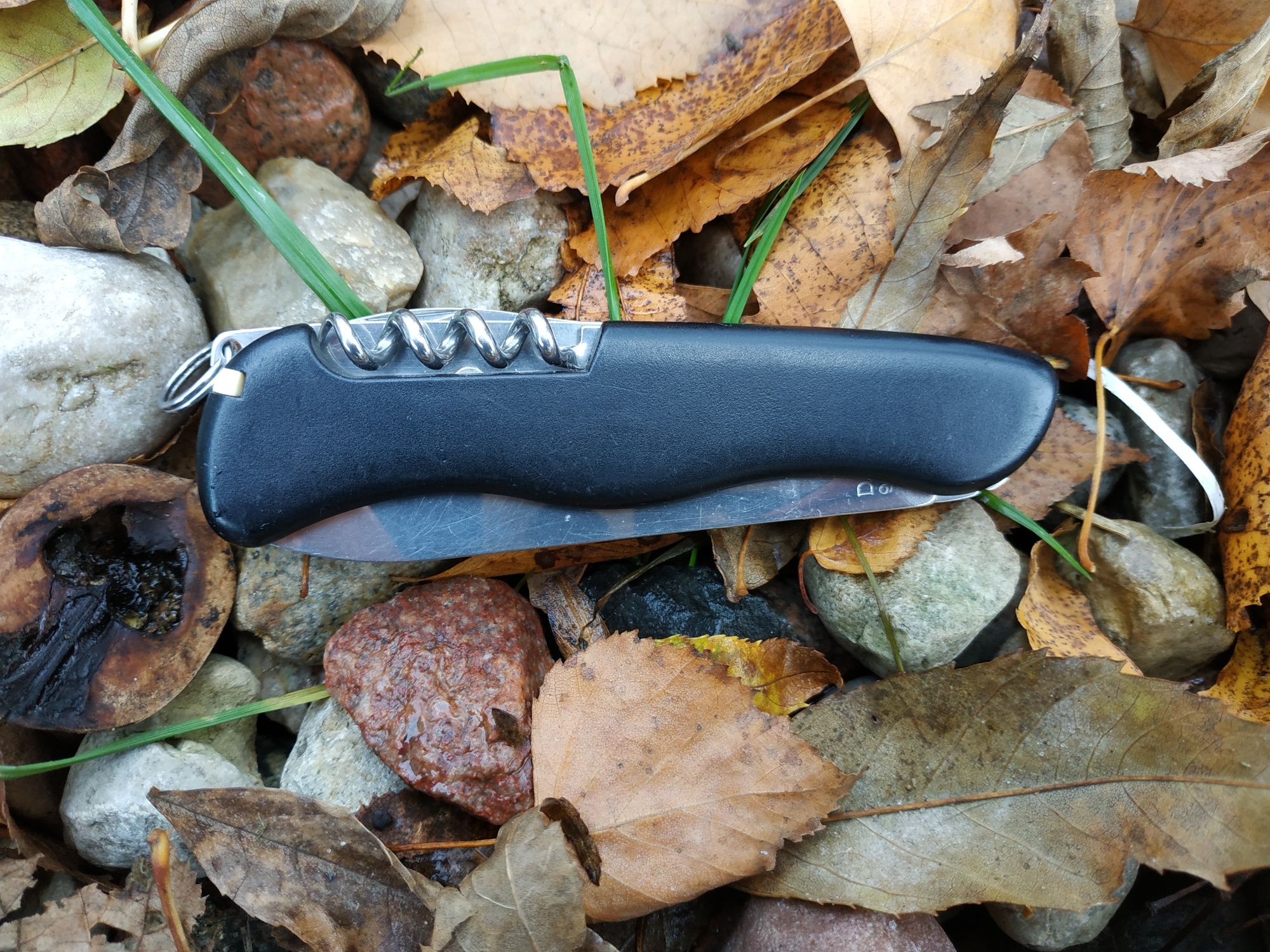 Scyzoryk Victorinox Nomad