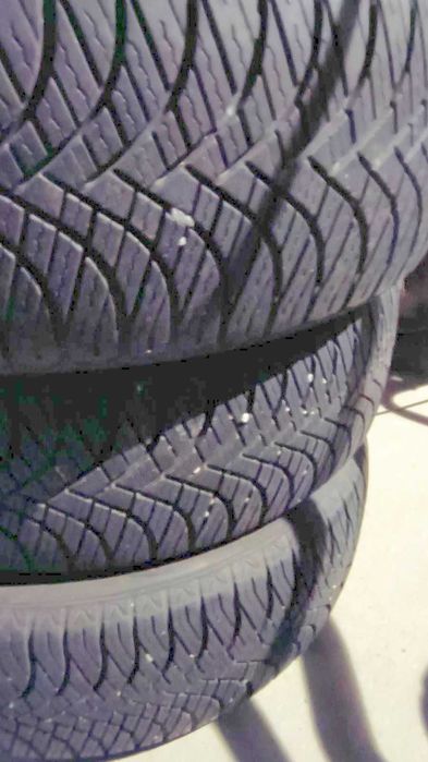 Całoroczne Goodrive 205/55/17