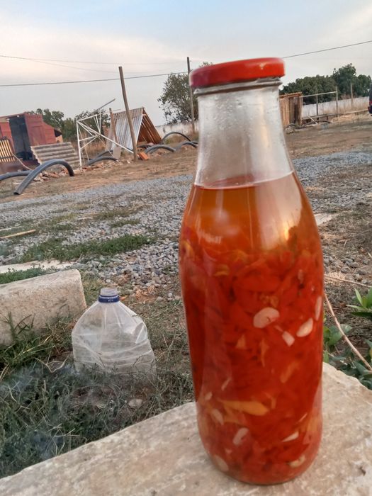 Vendo picante caseiro e orgânico.