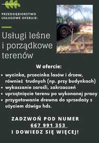 Wycinka drzew, usługi leśne ‚rębak  całe świętokrzyskie