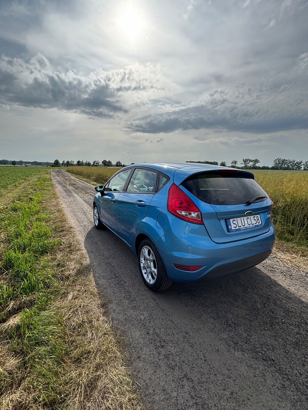 Ford Fiesta Ford Fiesta 1,25 2010r.