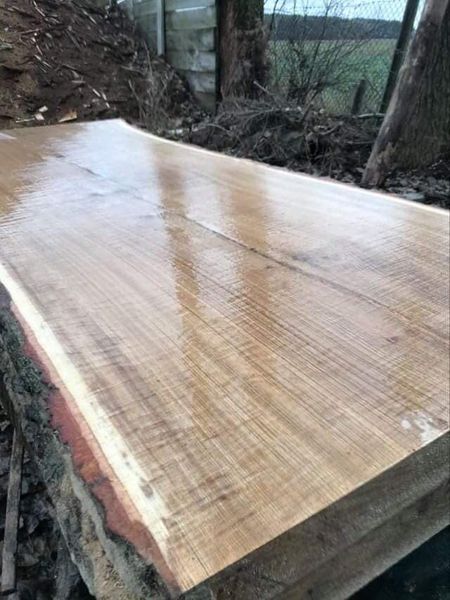 Monolity dębowe - krążki