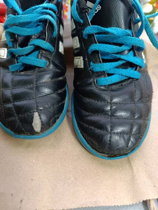 Сороконіжки  ...