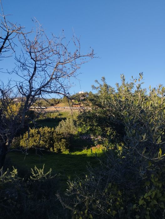 Terreno Misto,  com Ruína, Vista Mar.