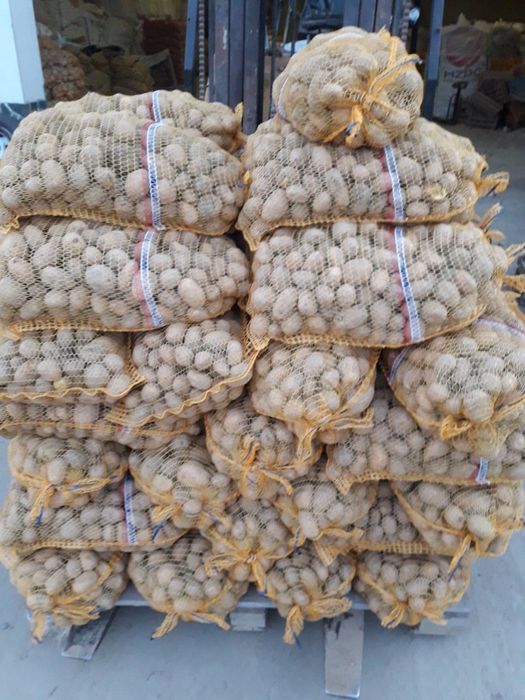 Ziemniaki drobne paszowe