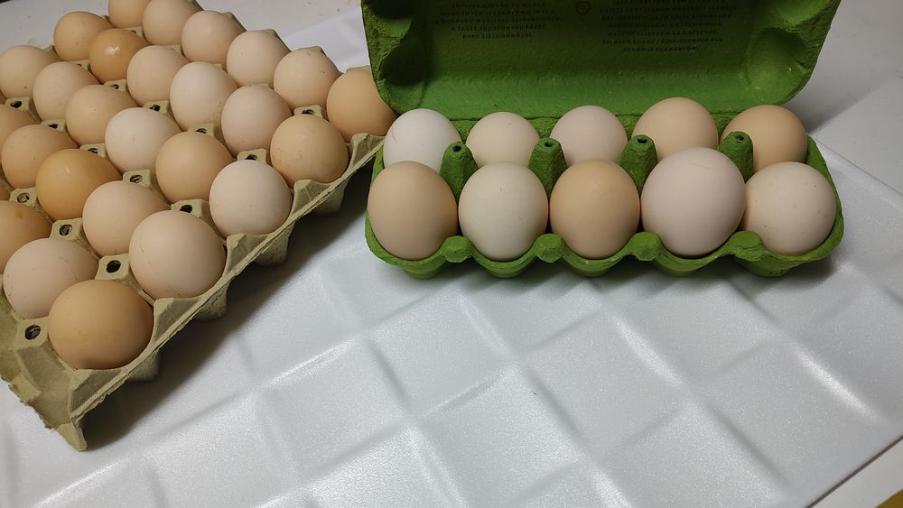 Jaja swojskie kremowe