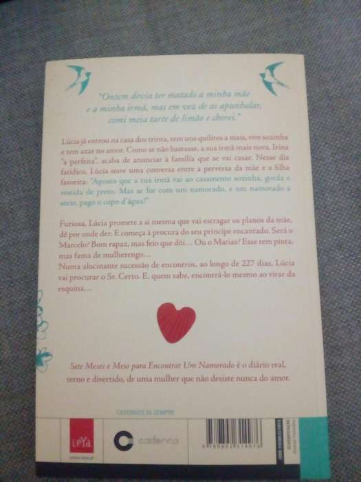 Livro de Carolina Aguirre - Sete meses e meio para encontrar um namora