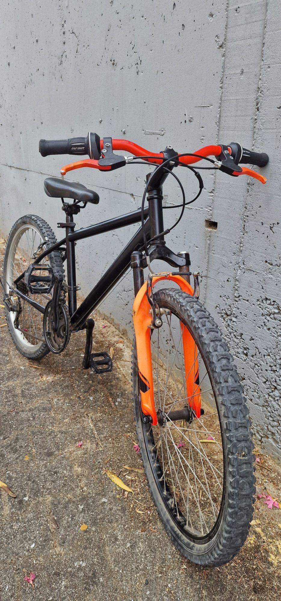 Bicicleta roda 24