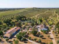 Herdade com Vinha - Adega e Olival - Avis