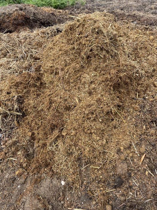 ‼️Fertilizante de Cavalo BIOLÓGICO‼️