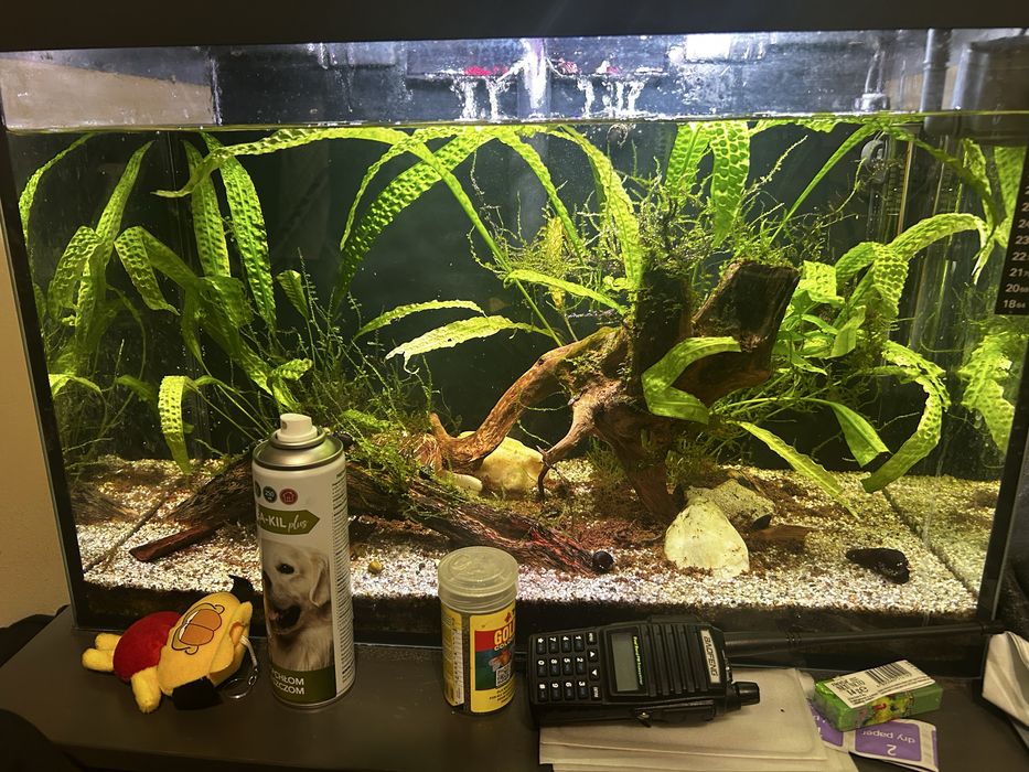 Akwarium 72 kitry caly zestaw