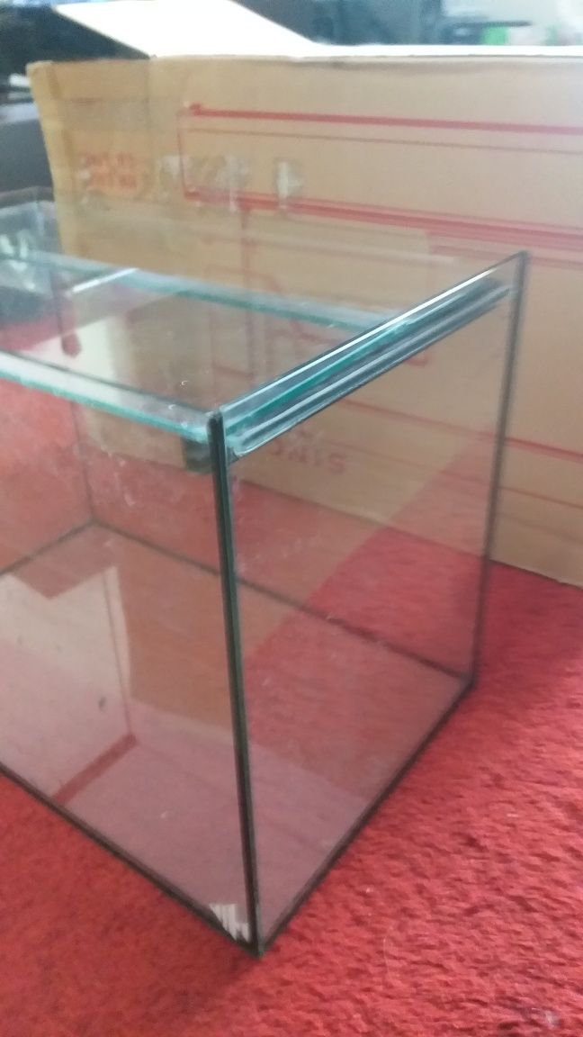 Aquário peixes 20 litros