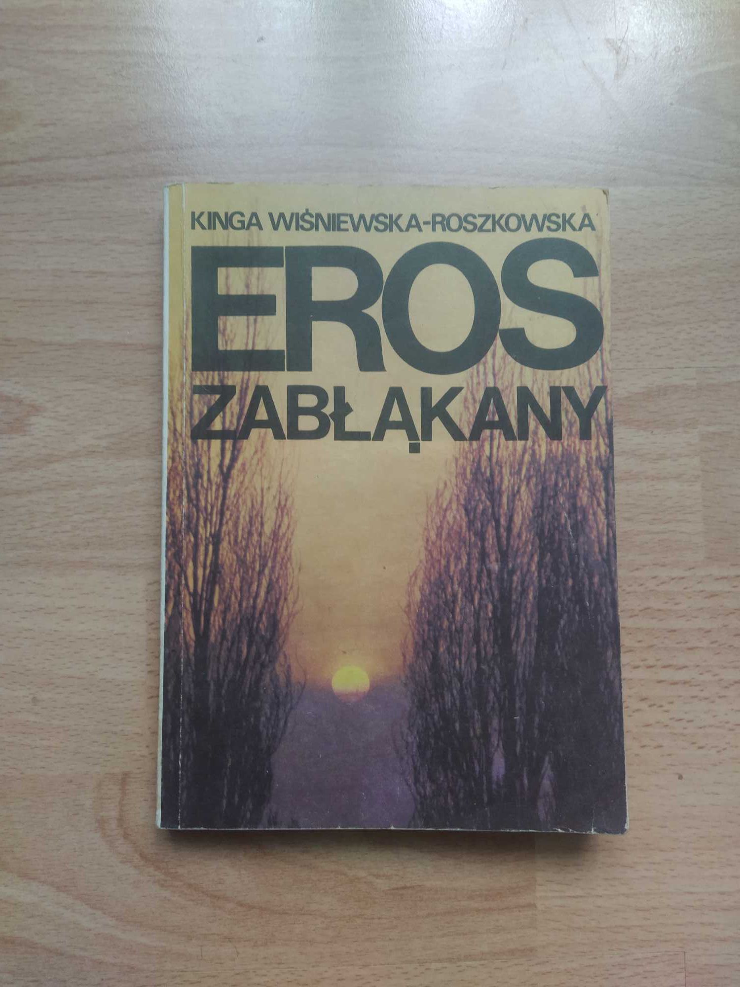 Eros zabłąkany Kinga wiśniewska-roszkowska