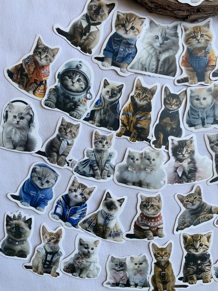 Zestaw naklejek do scrapbookingu Małe Śmieszne Kotki, 50 sztuk