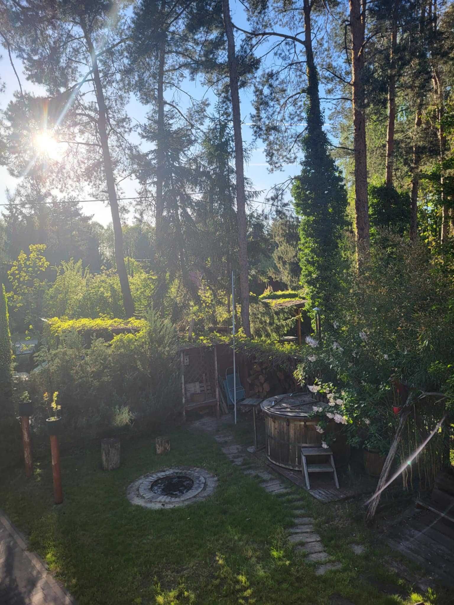 Domek nad jeziorem Łukcze - pojezierze łęczyńsko włodawskie