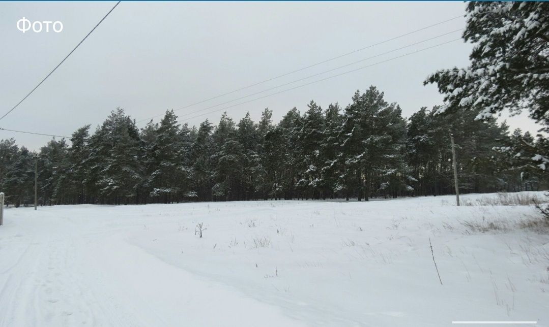 Продам земельну ділянку село Бишкінь