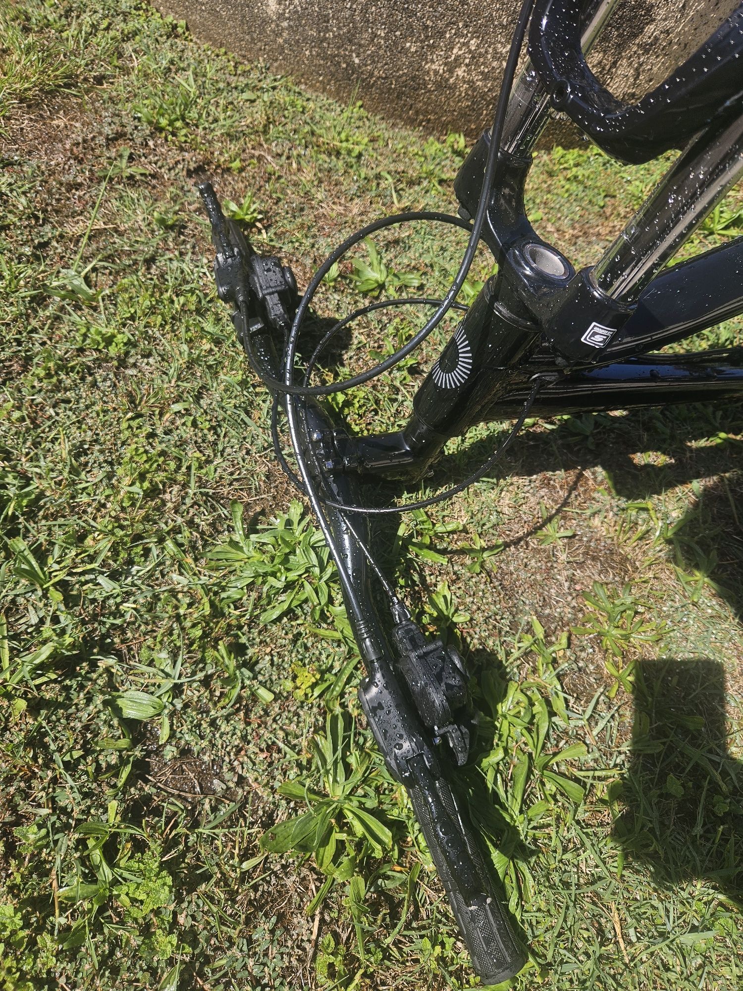 Cannondale Trail