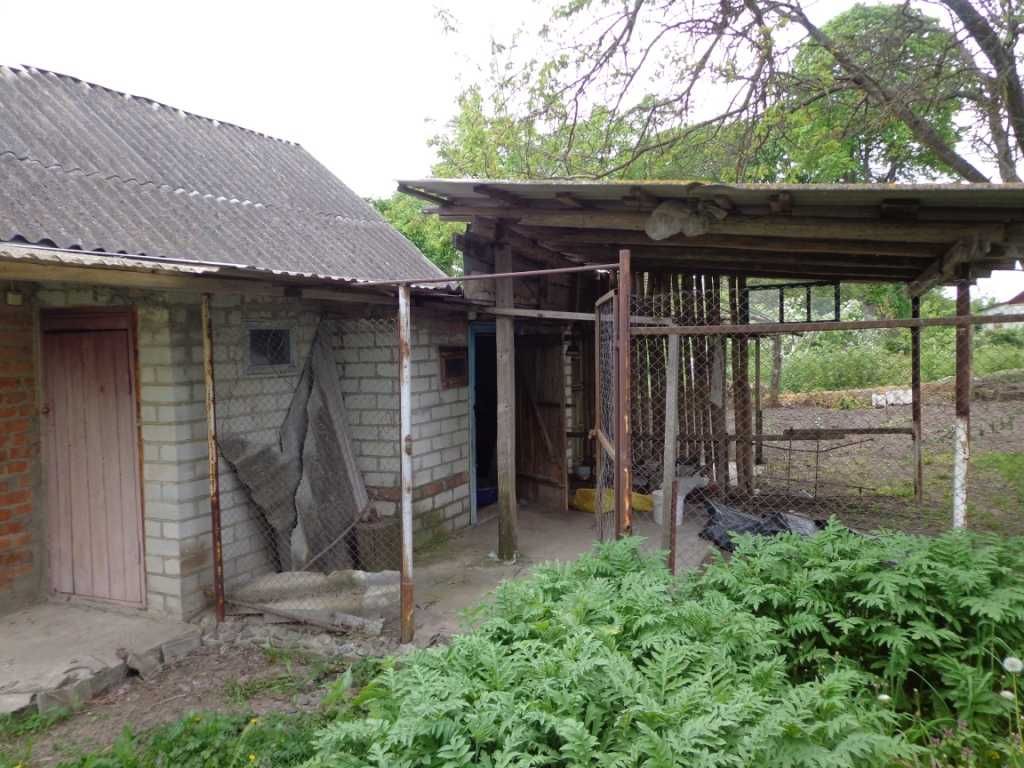Хата в селі Іванківці