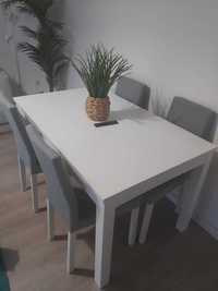 Mesa Extensível com 6 cadeiras IKEA