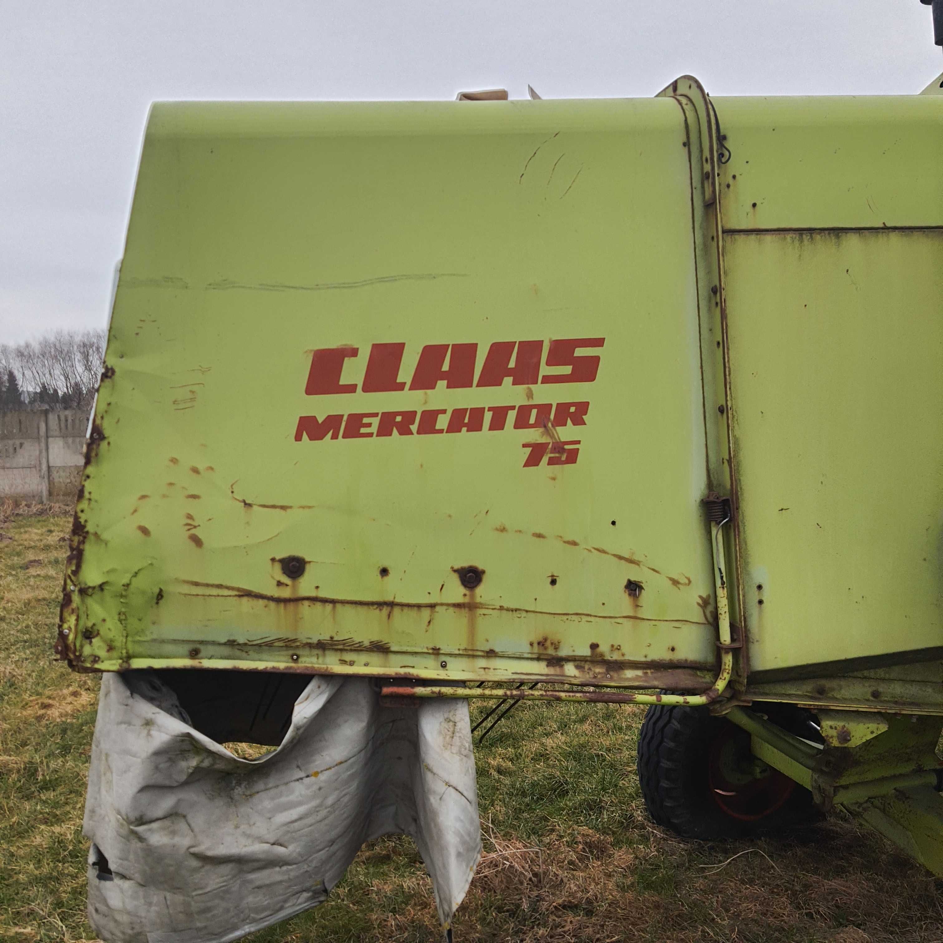 Class Mercator 75