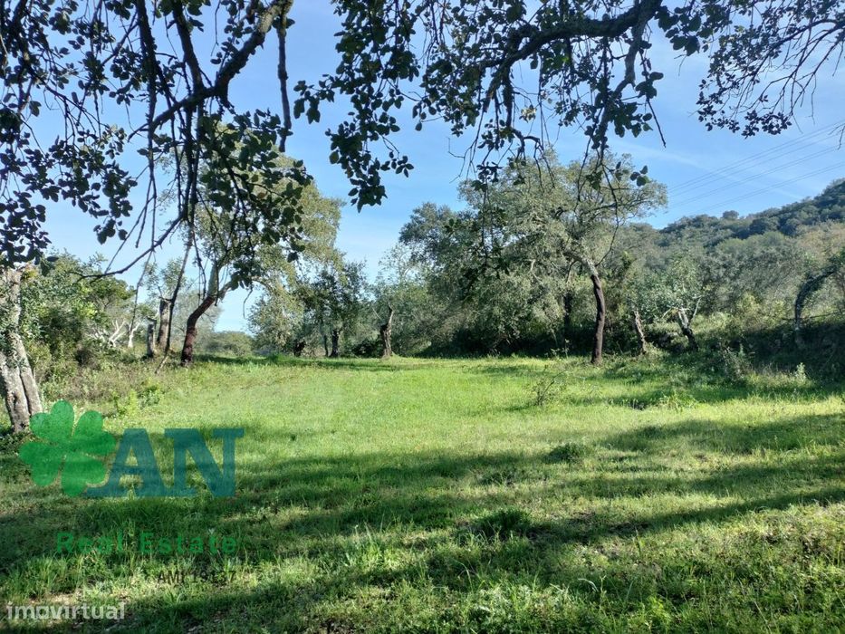 Horta, localizada a apenas 4 km do centro de São Brás de Alportel