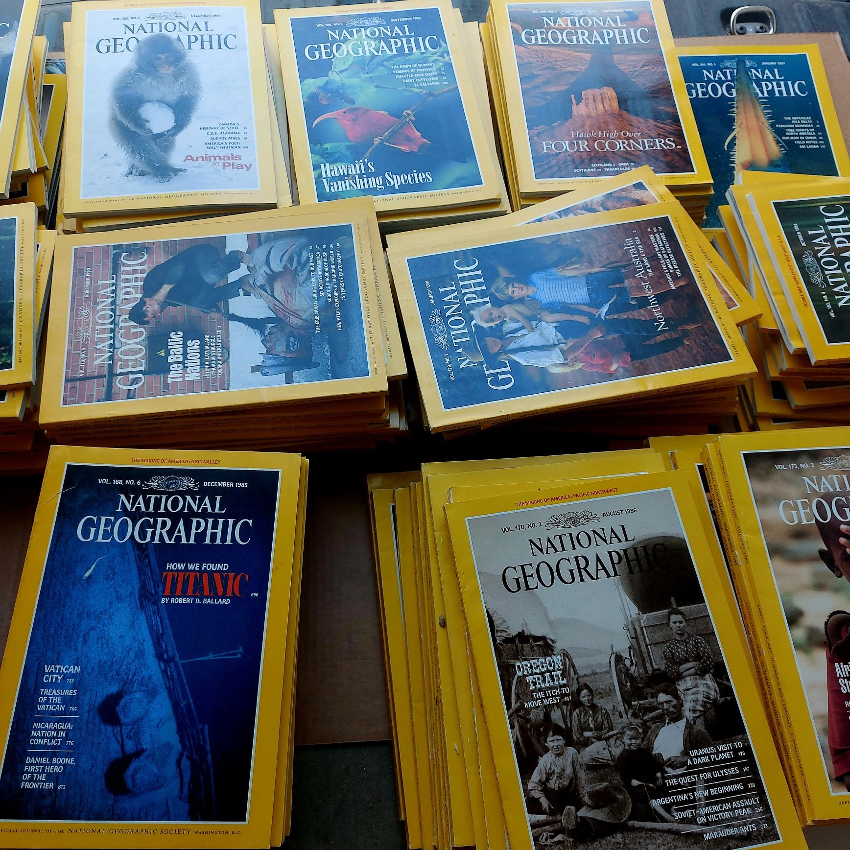 Revistas National Geographic (inglês)