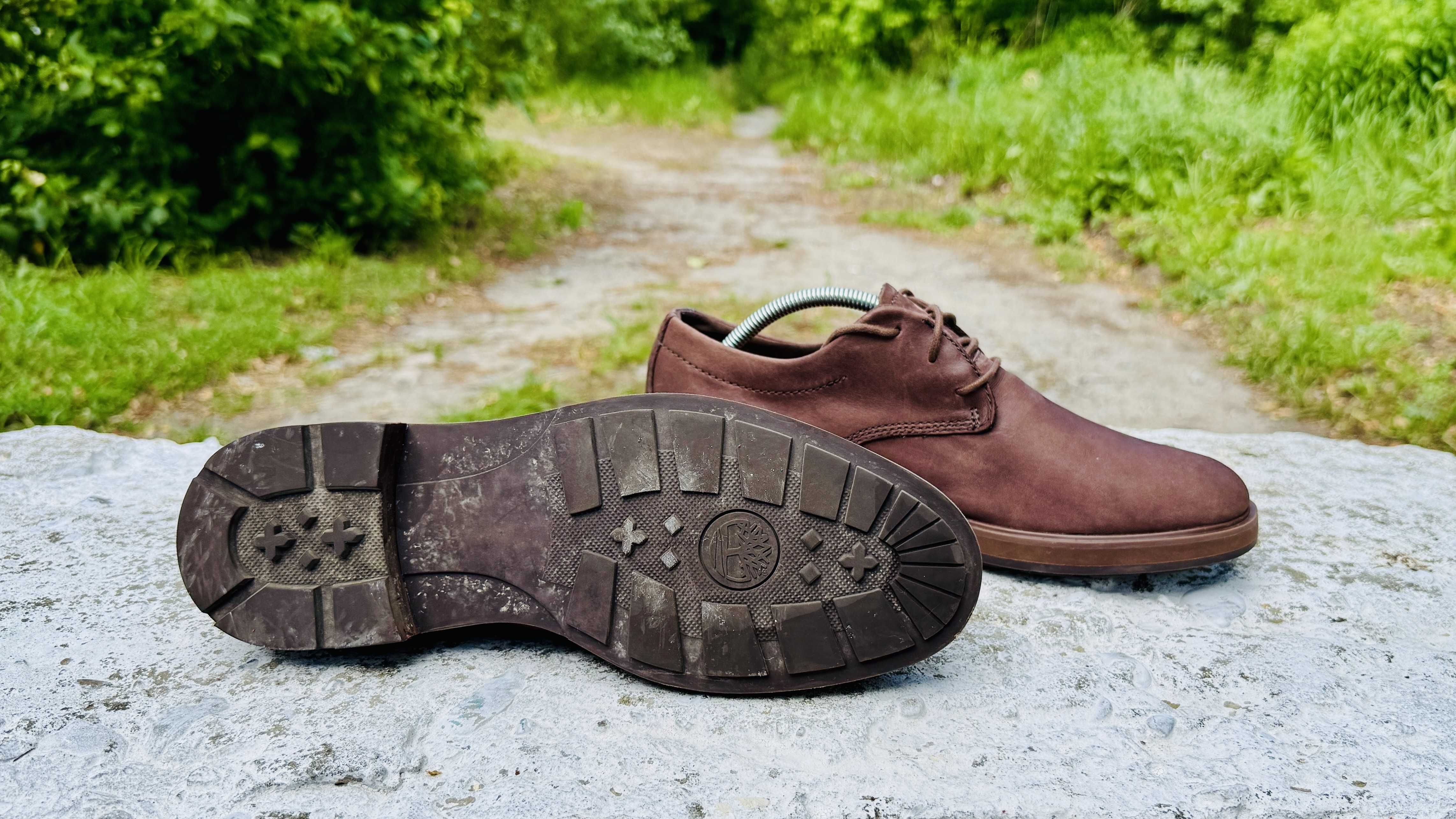 Чоловічі нубукові туфлі, оксворди Timberland Windbucks Oxford