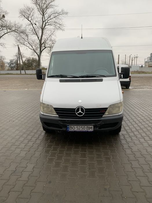 Mercedes Sprinter 313