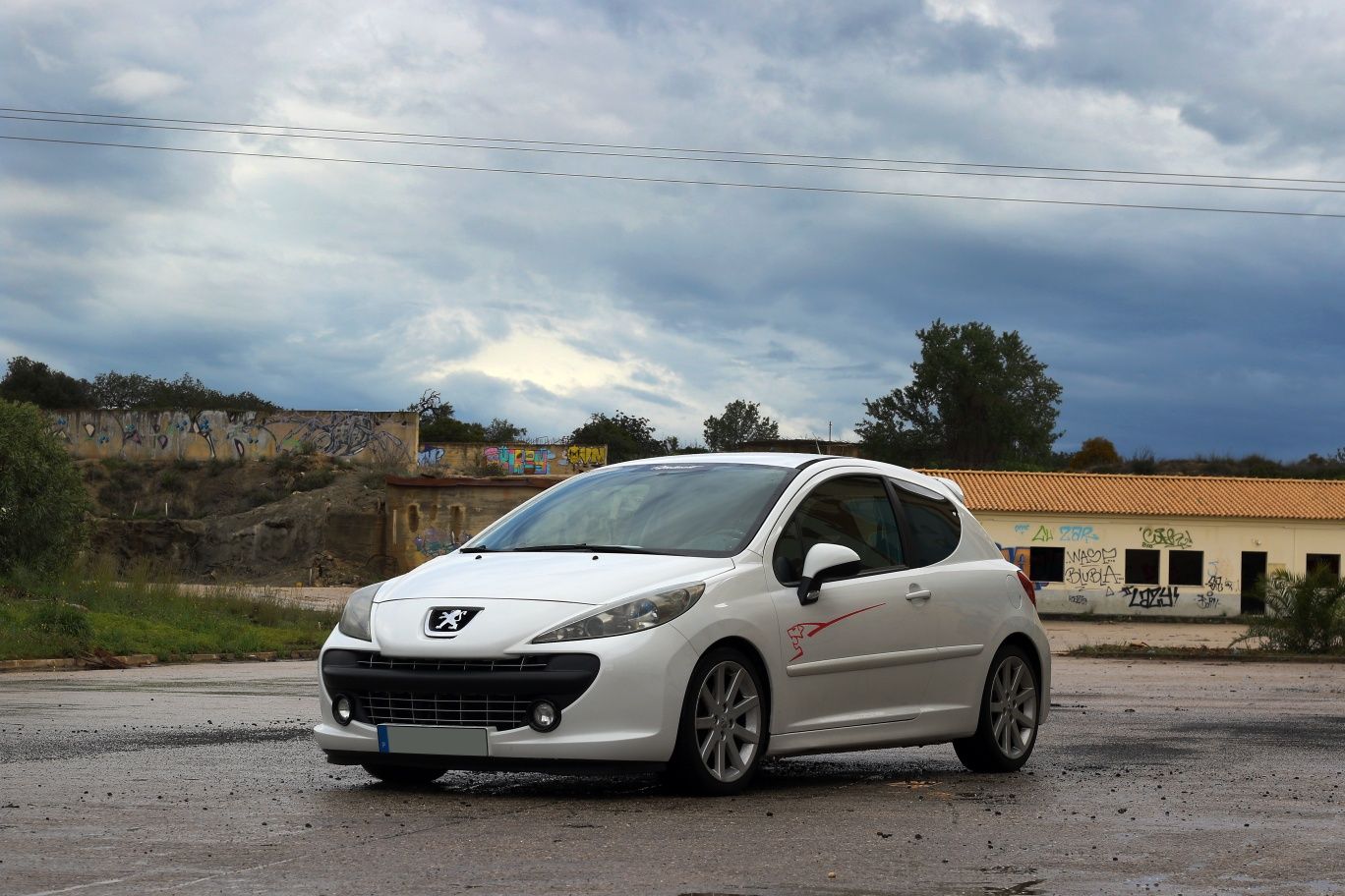 Peugeot 207 Rally Nº 57/100 – Edição Limitada Certificada