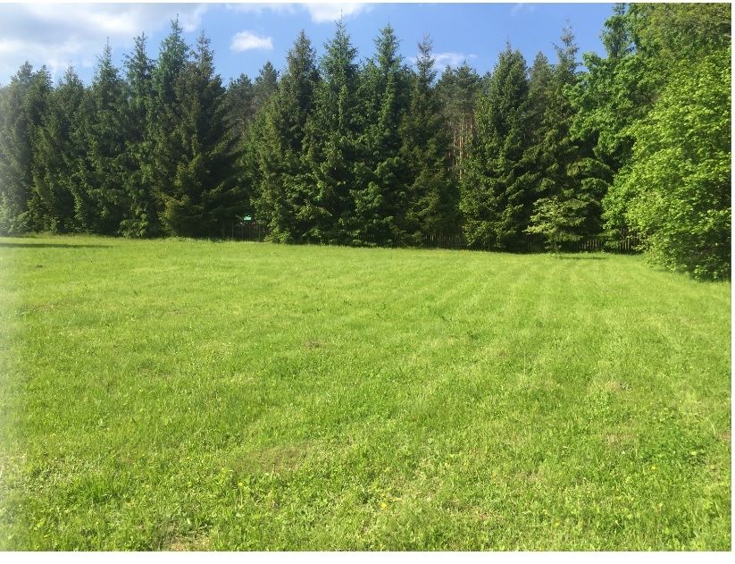 Działka w Puszczy Knyszyńskiej, Zapiecek, Wasilków – 3305 m²