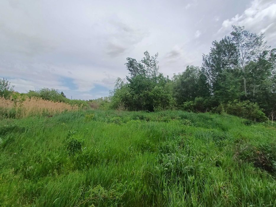 GA S4 Продам ділянку 50сот з озером, Хар.обл, смт Високий, с Іржавець.