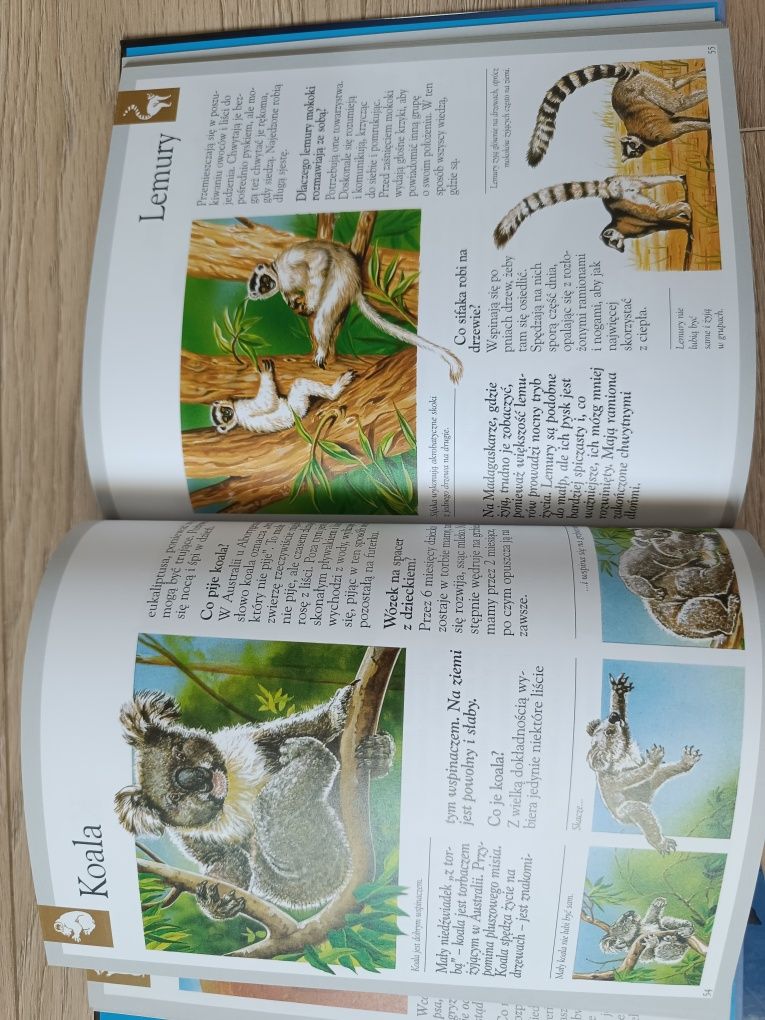 Książka odkrywanie świata - zwierzęta