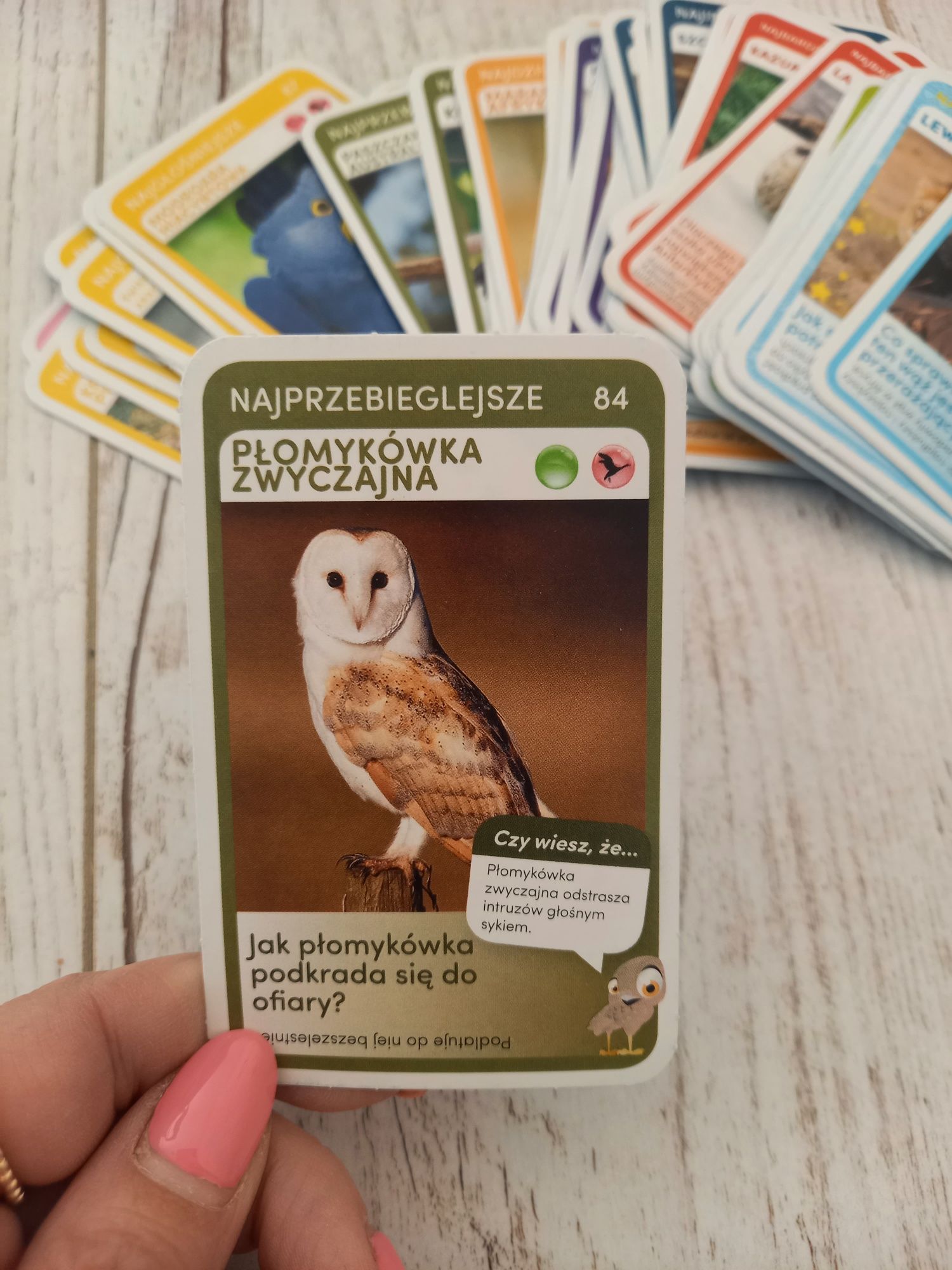 Zestaw kart 66 szt. Super zwierzaki