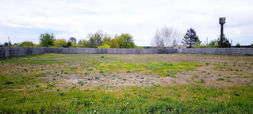 Продається будинок зі стайнею на 9 коней і територією 80 соток