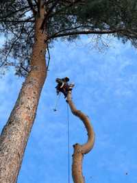 Wycinka drzew ALPINISTYCZNIE | Usługi rębakiem | Usuwanie pni Koszenie