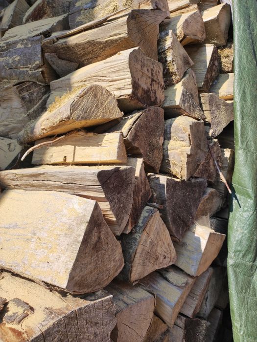 Opał grab buk suchy