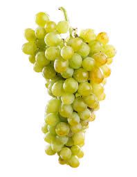 Uva moscatel branco