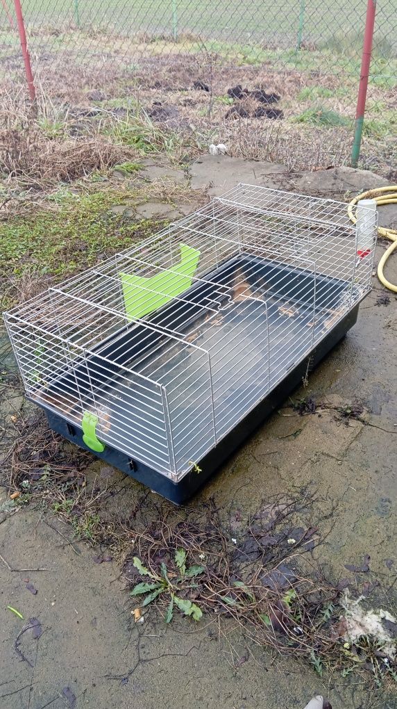 Klatka dla królika domowego