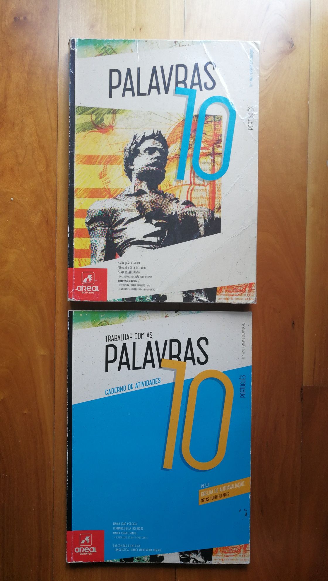 Palavras 10 Português Manual + Caderno Areal