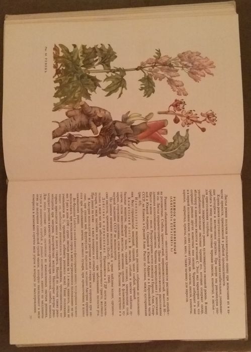 Травы книга 1972 г