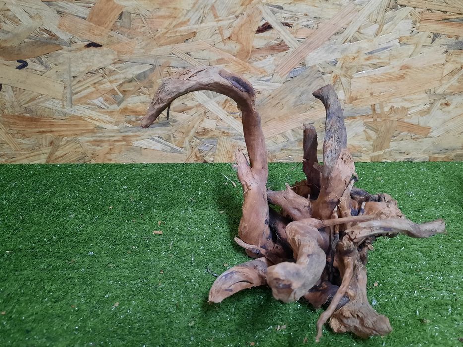 Korzeń do akwarium Red Moore Wood nr 1160 o wymiarach 24/17/18