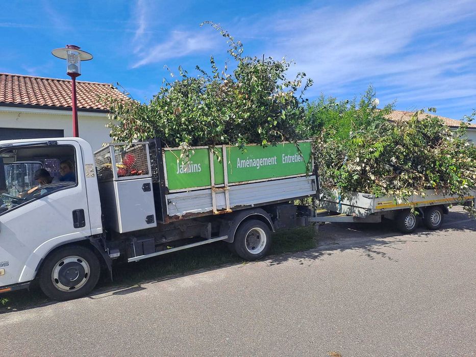 Izuzu bascula 3 litros