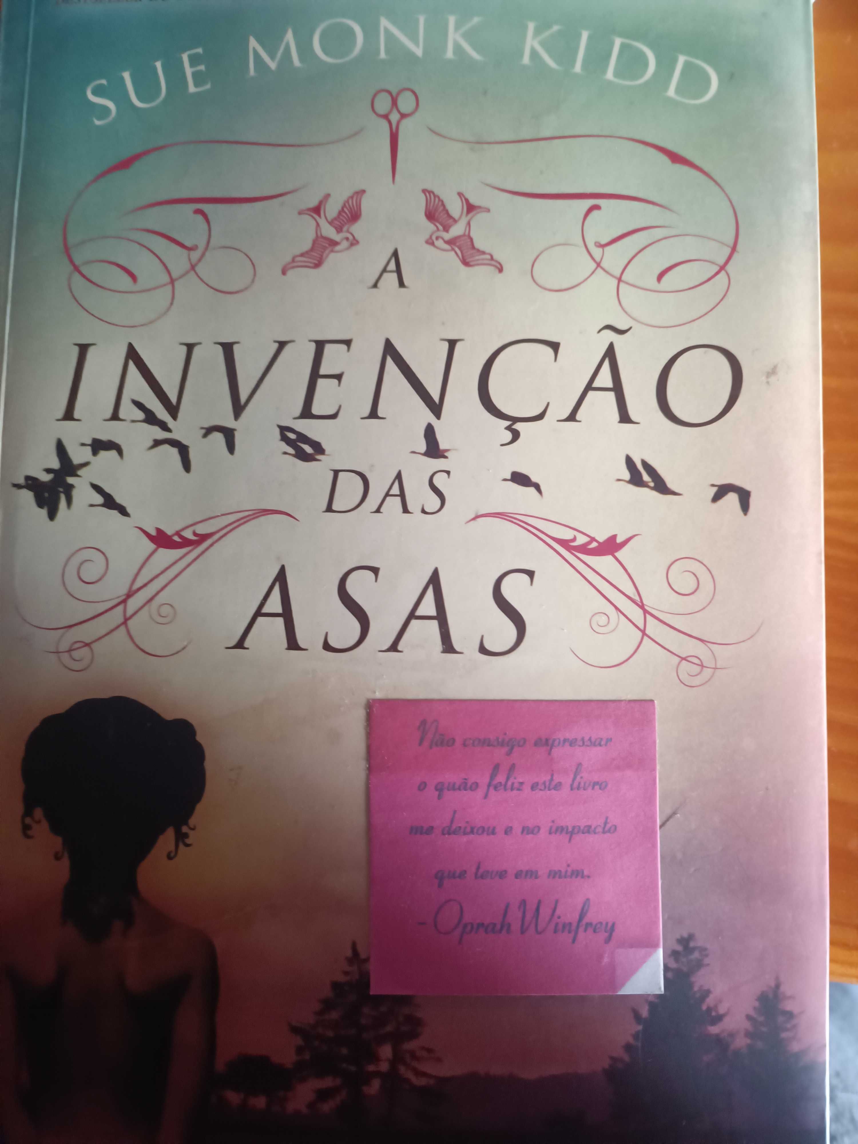 Livro - A invenção das asas