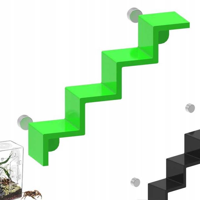 Magnetyczna półka dla skakunów pająki skacząca Schodki  TerraZaplecze