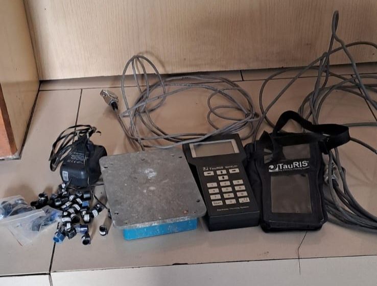 Zegar do gołębi tauris