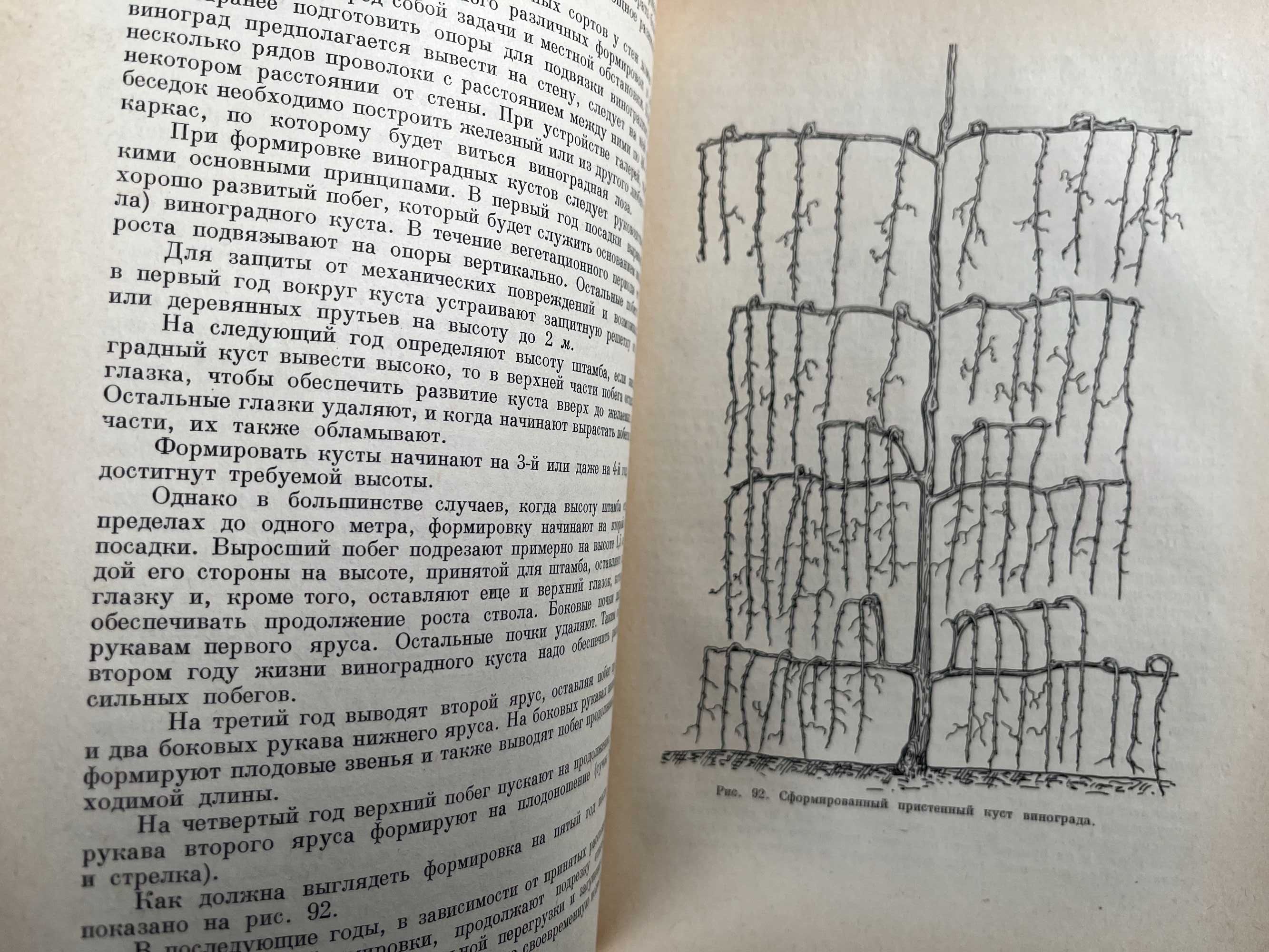 "Советы по садоводству и виноградарству" Киев 1964