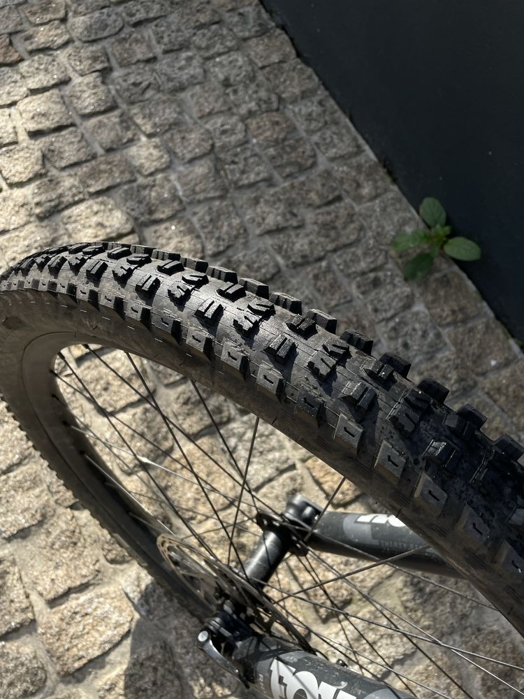 Specialized Status 160 S4