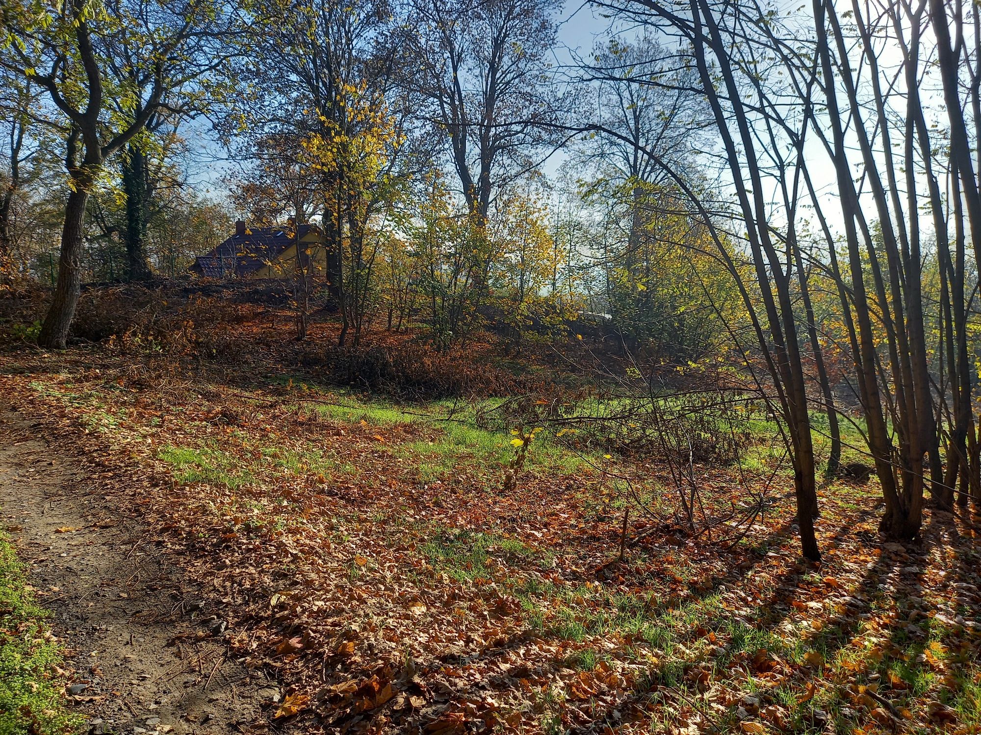 Działka budowlana 0,2450 ha, Otynia, Bobrowniki - przy rezerwacie B