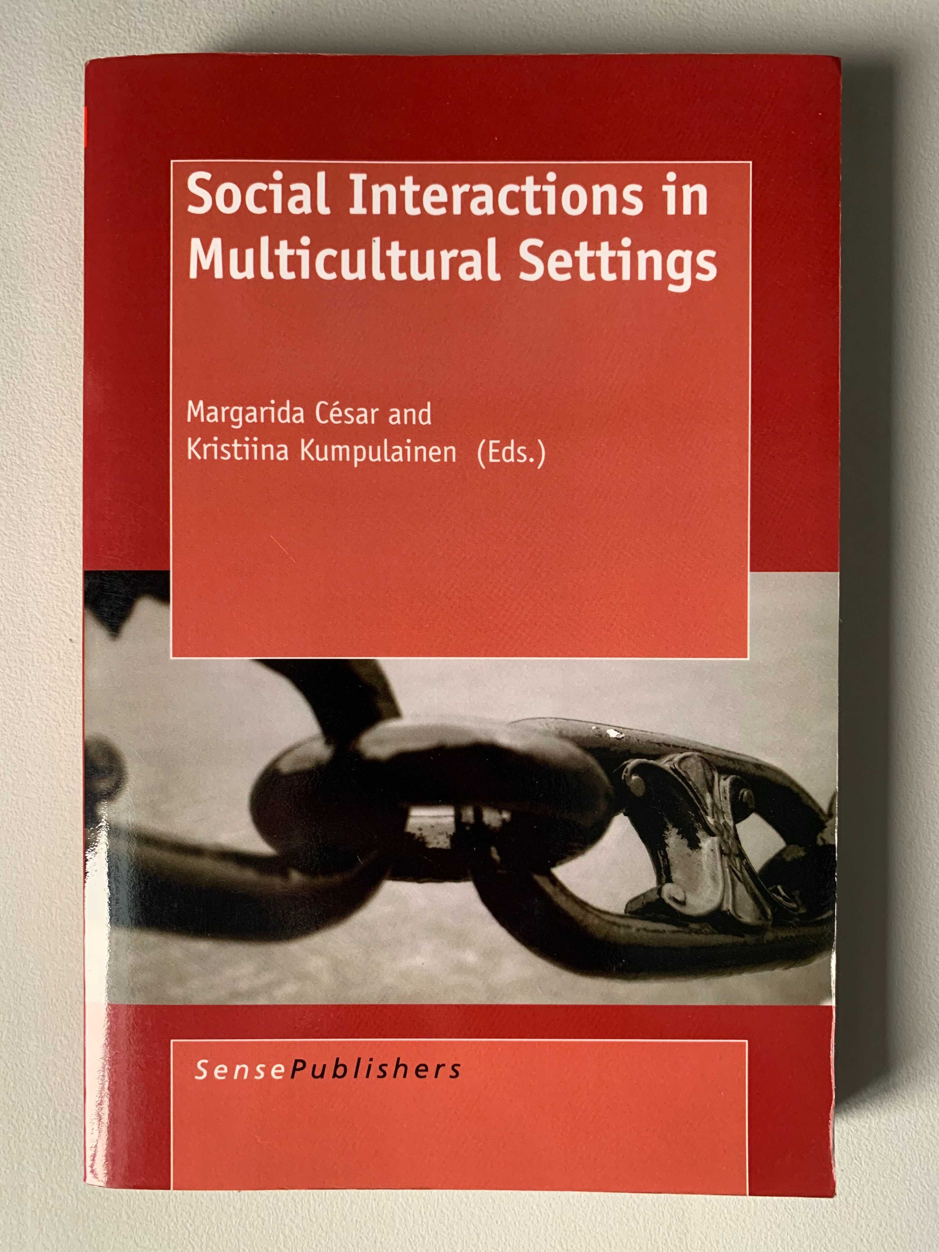 Social Interactions in Multicultural Settings