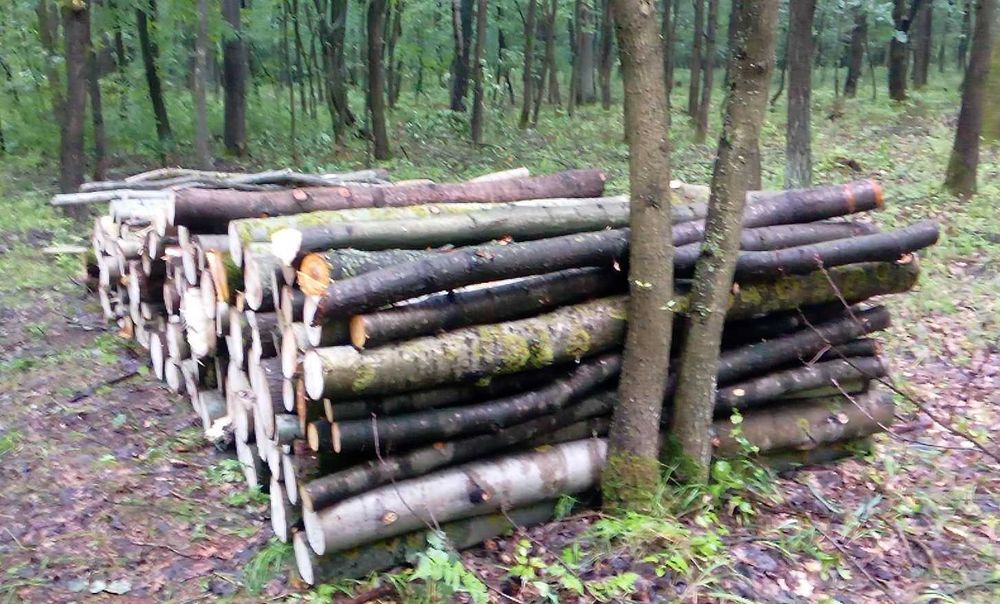drzewo drewno opałowe mix liściaste, do kominka